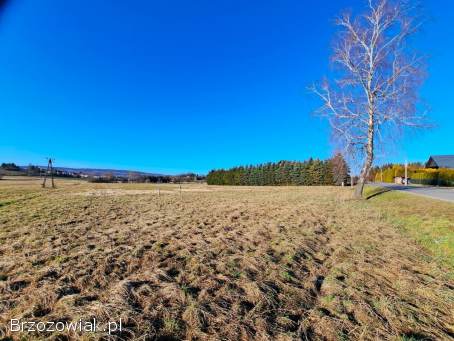 NOWA CENA Działka budowlana 21,  91 ar Srogów Górny
