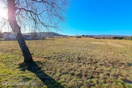 NOWA CENA Działka budowlana 21,  91 ar Srogów Górny