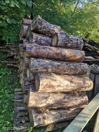 Drewno opałowe miękkie 3m² cena CAŁOŚĆ