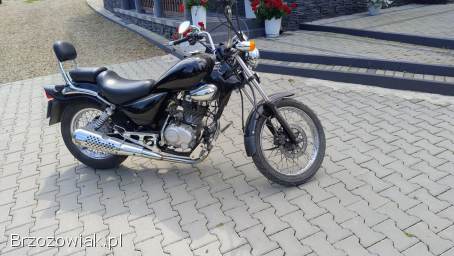 Chopper Rex Rex Chopper Rex 2000