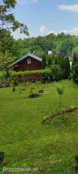 Działka rekreacyjna – ogródek działkowy „Rajsy”
