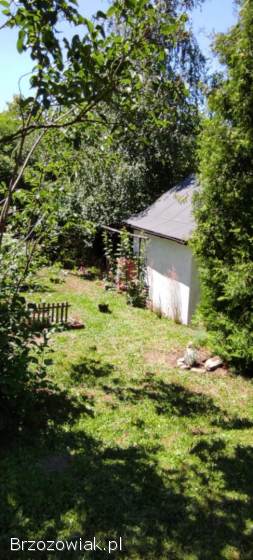 Działka rekreacyjna – ogródek działkowy „Rajsy”