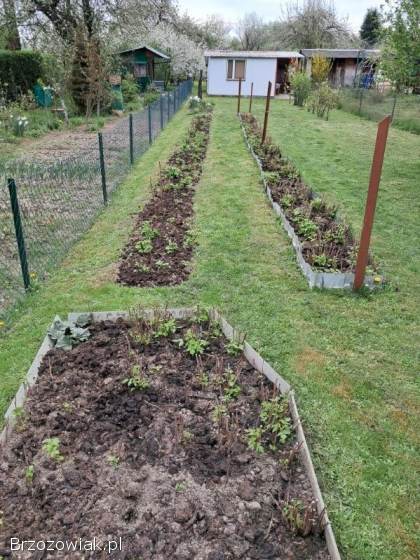 Działka ROD Sanok,  ul Stróżowska