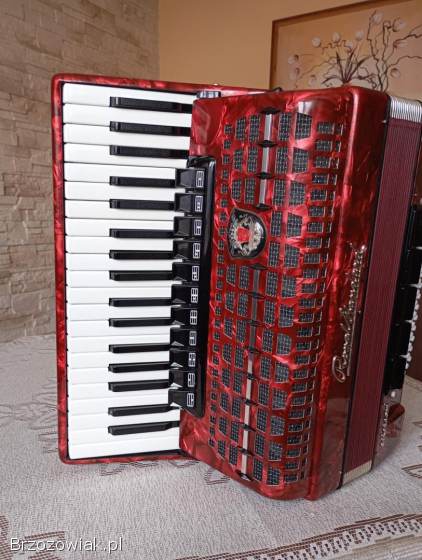 Akordeon Royal Standard Meteor 96 B
