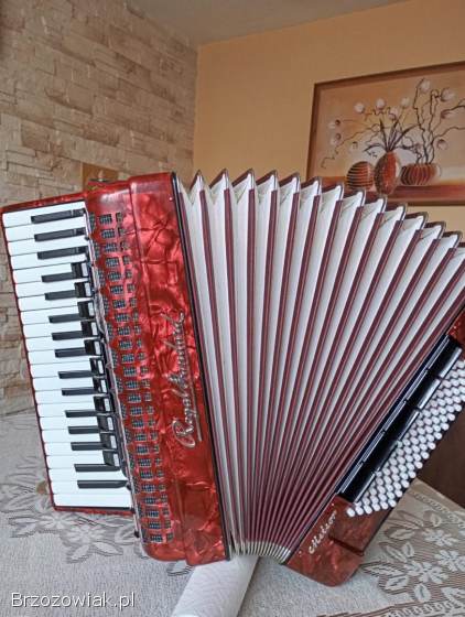 Akordeon Royal Standard Meteor 96 B
